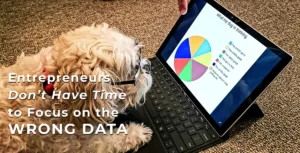 image of a dog looking at a computer screen of data as a play on how to find the right data for your marketing