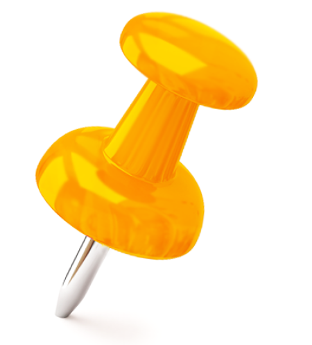 pin